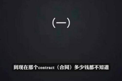 李纹妈妈爆料视频播放,揭秘明星家庭背后的故事  第1张