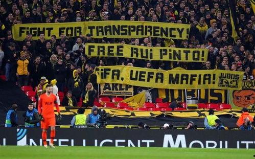 爆料曼城黑客视频下载,独家视频下载事件全解析